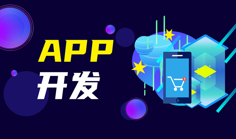 成都软件开发公司对知名仓储公司关于未来软件开发的规划与展望