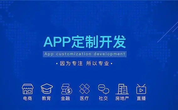 软件开发