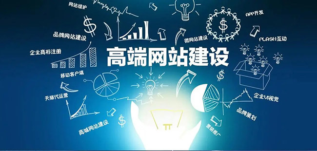 成都软件开发公司的专业体现在哪里
