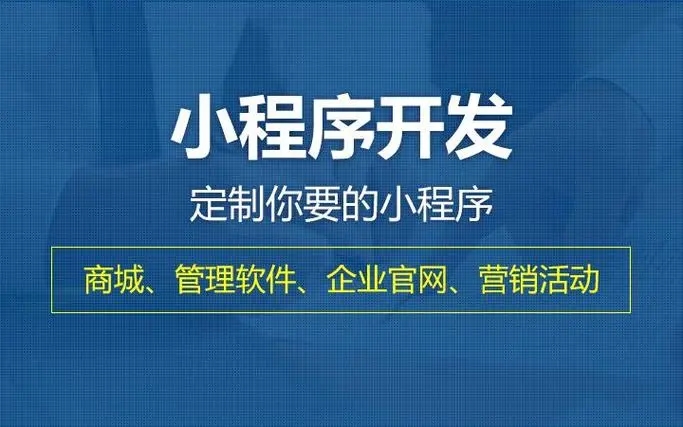 定制开发