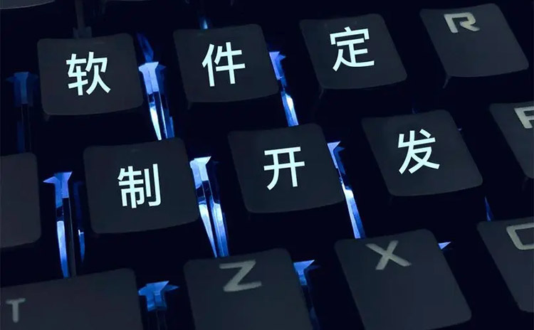 成都软件开发：中小学图书管理系统开发