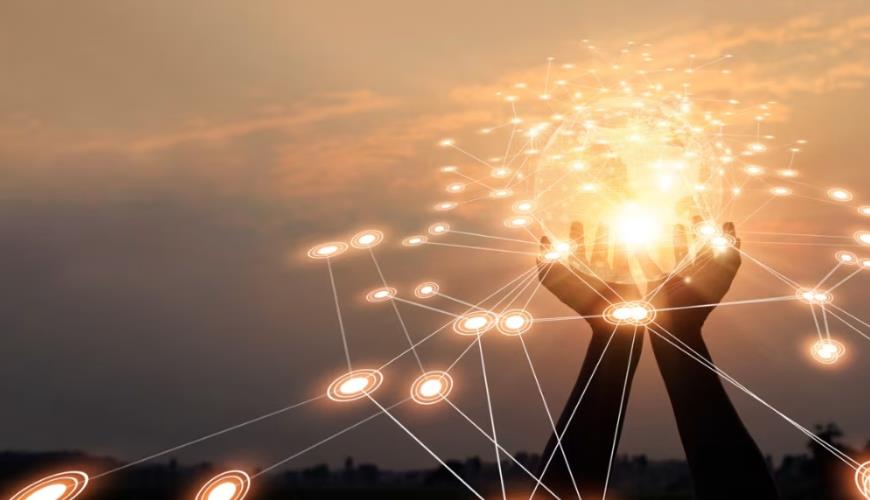 成都软件定制开发公司差异化优势：如何以个性化方案破解行业同质化竞争困局