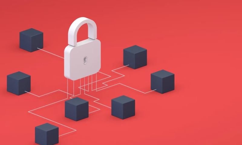 成都软件定制开发：巧用开源软件，实现高效交付、风险可控与自主掌控